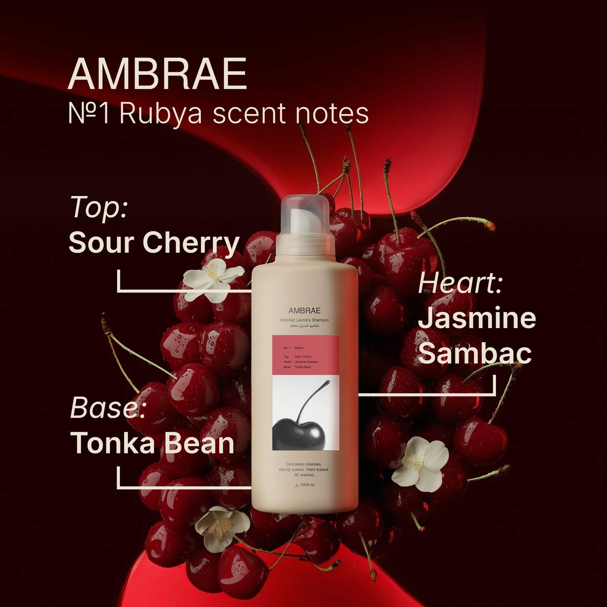 Rubya No.1 Discovery Set | Signature Pack